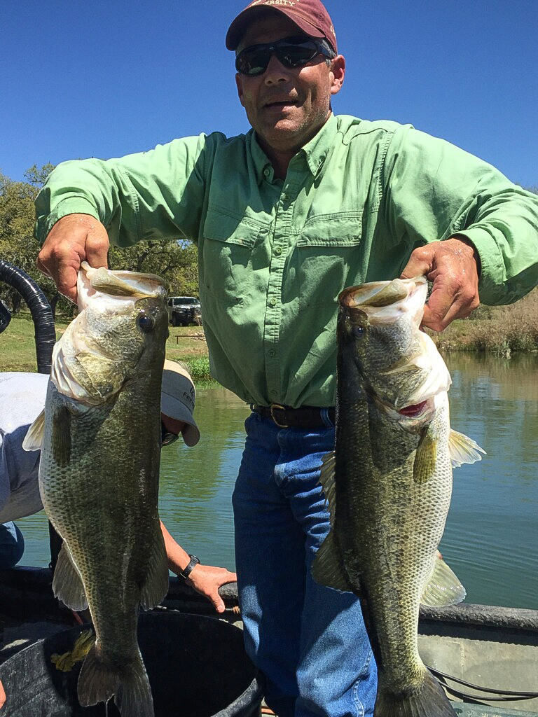 Trophy Size Largemouth Bass stocking in Texas